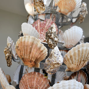 Large Artisan Made - Shellwork Chandelier