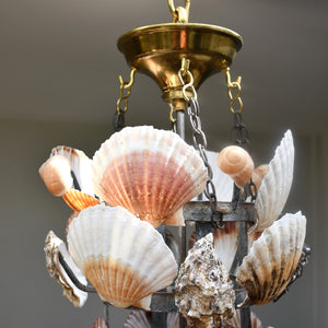 Large Artisan Made - Shellwork Chandelier