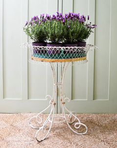 19th Century - French Jardiniere on Stand