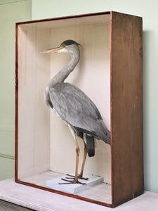 Late 19th Century Joseph Cullingford - English Heron