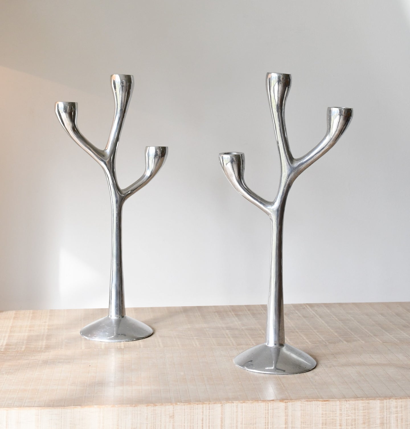 A Pair of Vintage - Naturalistic Candelabras